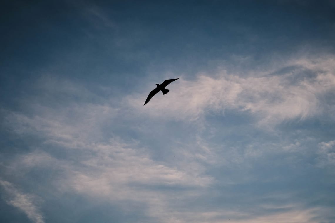 Against a Cloudy Sky