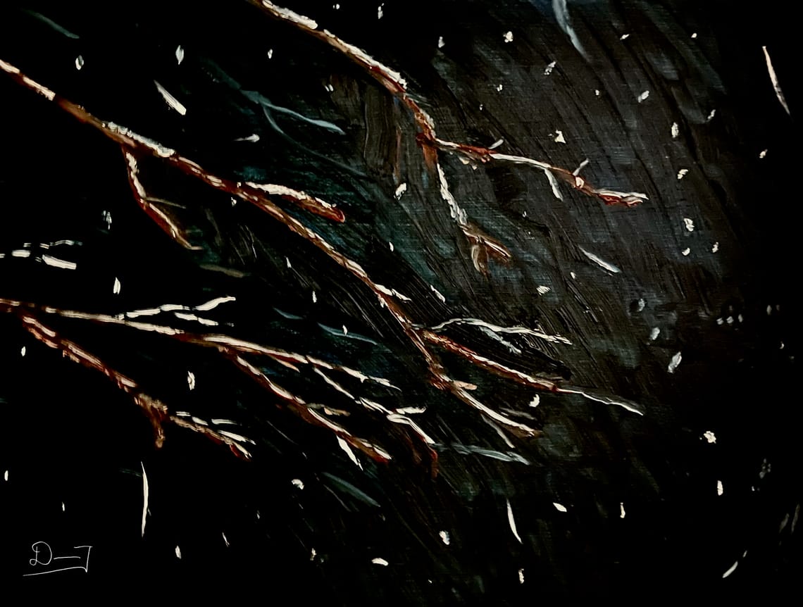 Late Night Snowstorm