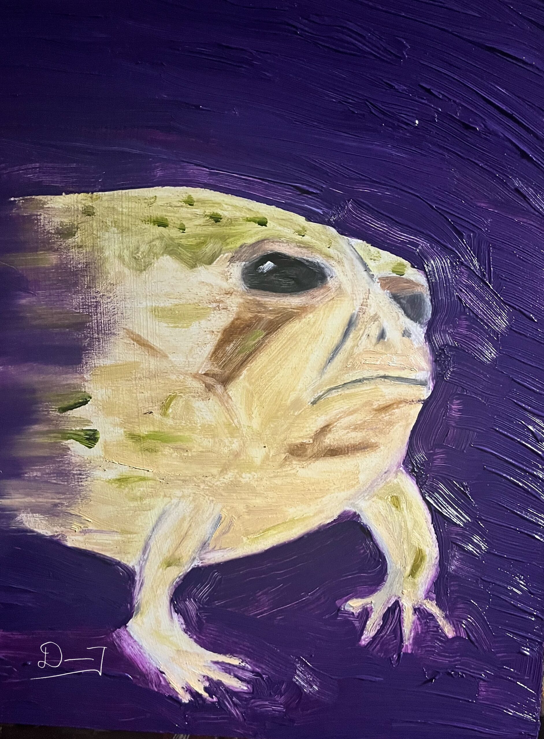 Rain Frog Portrait