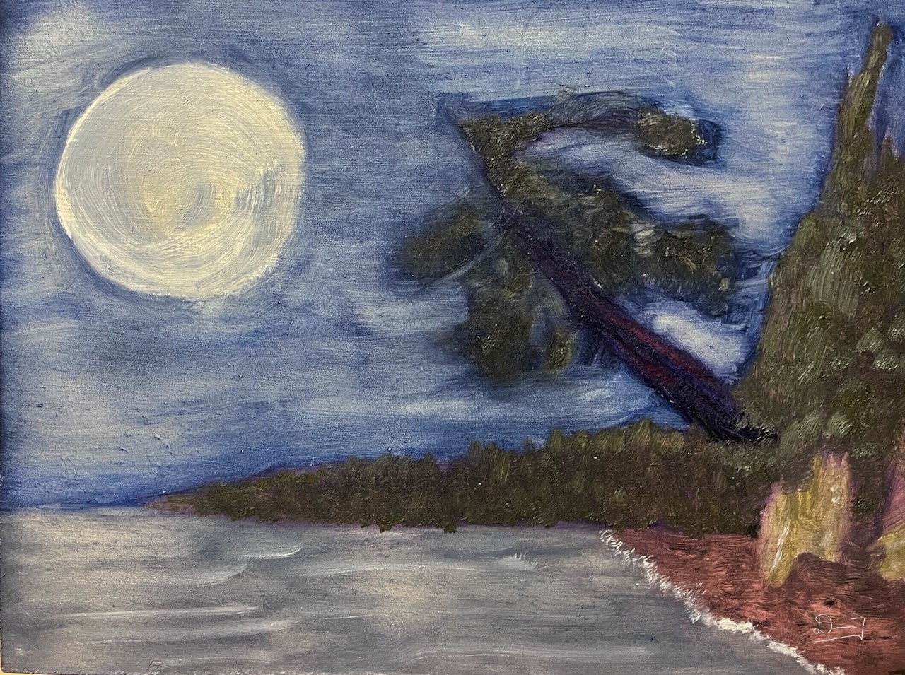 Beach Pine