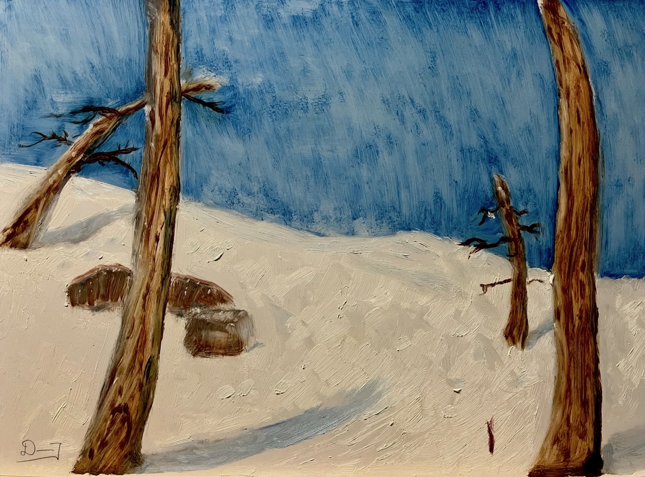 Snowy Morning