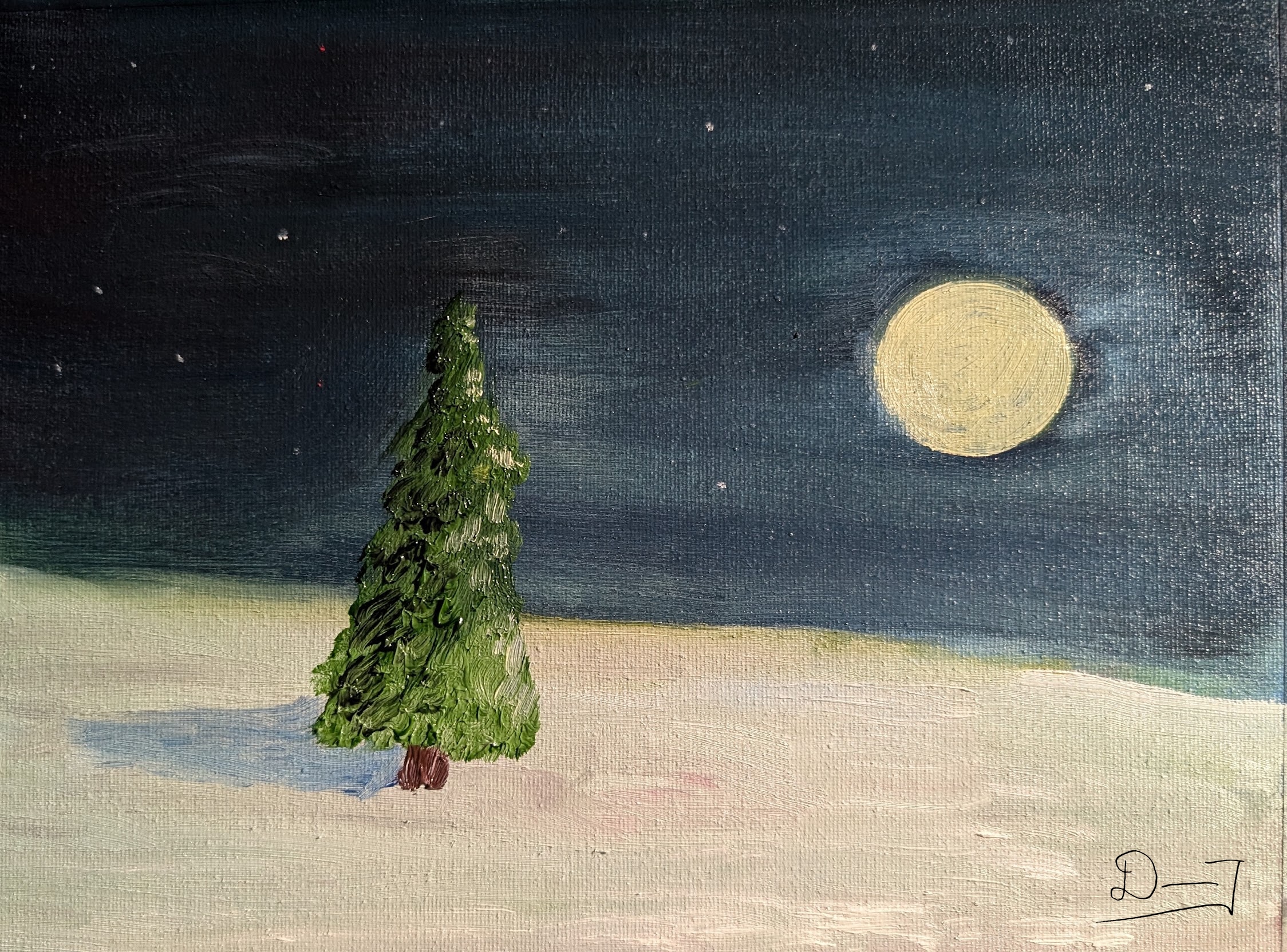 Winter Night Tree